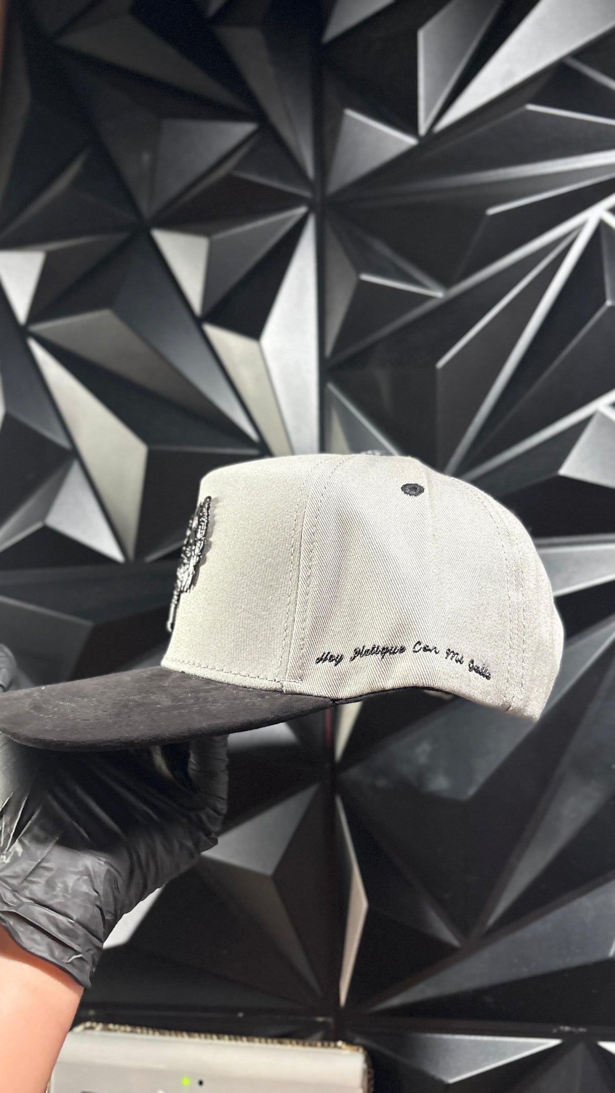 El gallo🐓🐓Gris cap 🧢