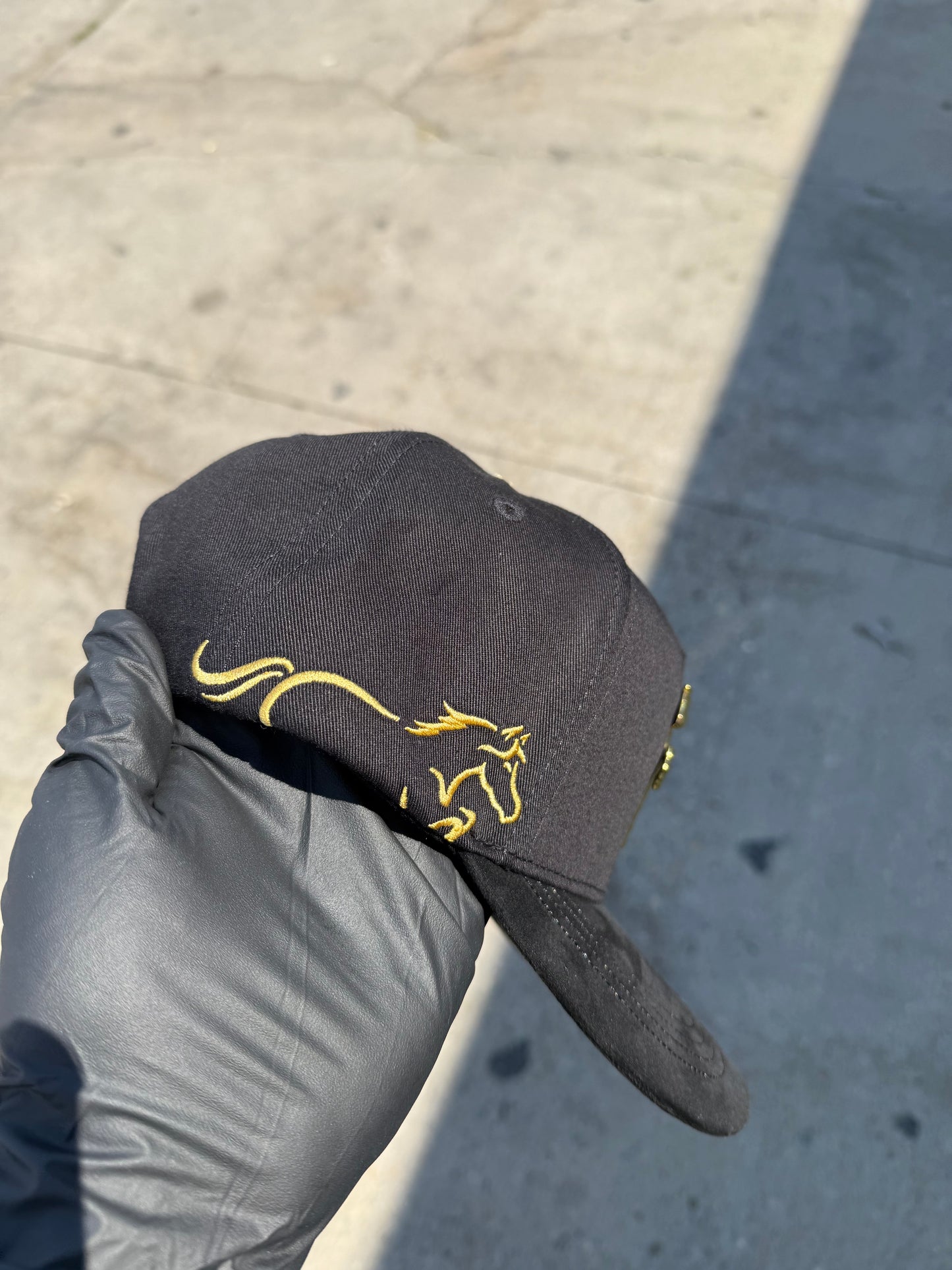 Caballo 🐎 Cap
